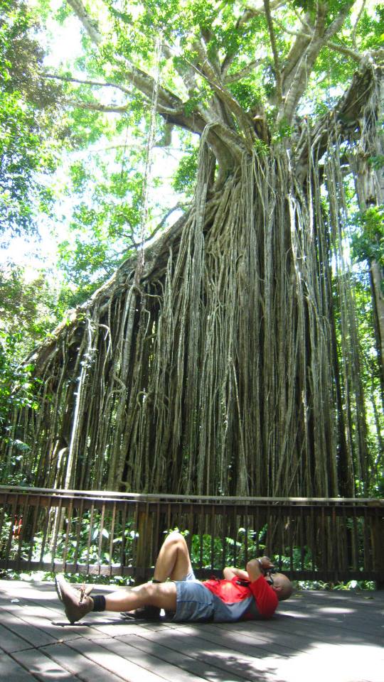 mohammed photographing rainforest