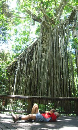 mohammed photographing rainforest